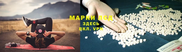 эйфоретик Баксан