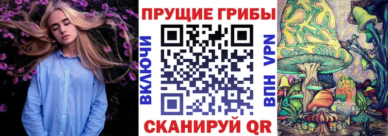 Галлюциногенные грибы Magic Shrooms  Красновишерск 